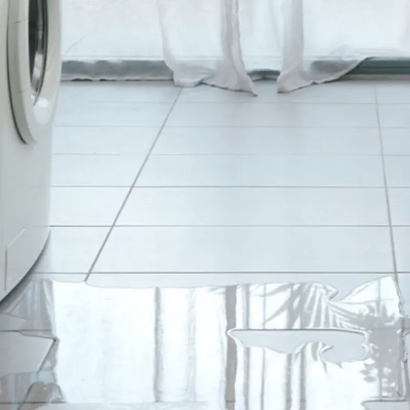 Appliance Leak Cleanup in Jessamine County, KY