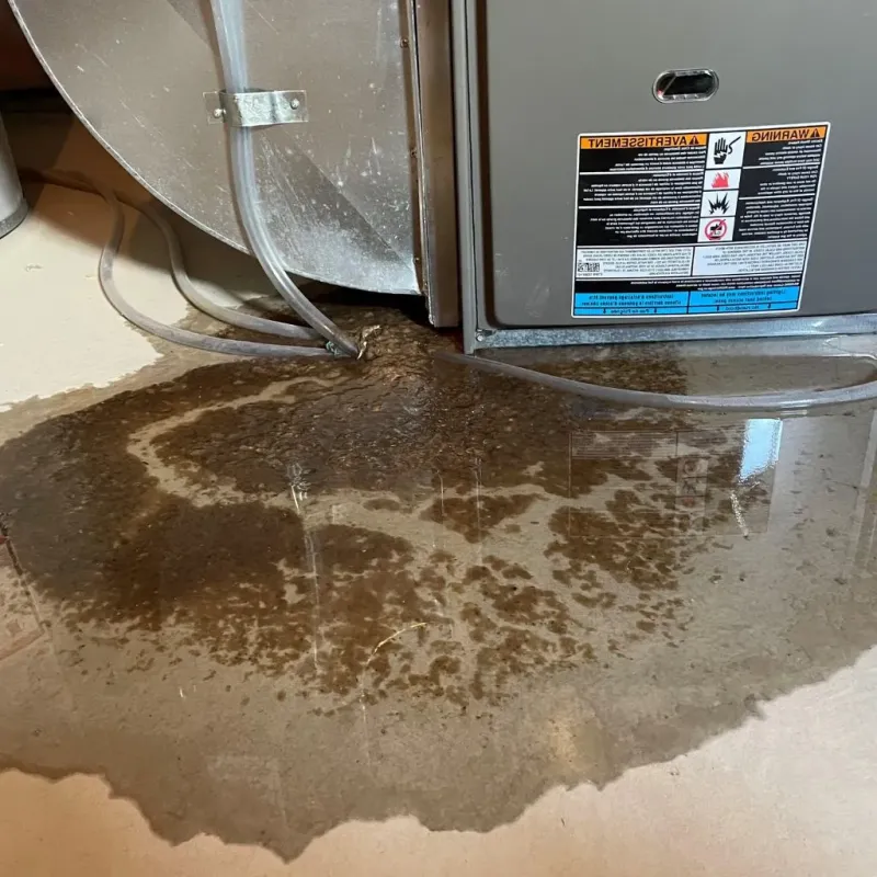 Pipe Burst and Leak Restoration in Jessamine County, KY