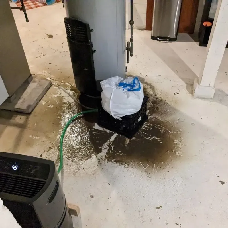 Sewage Backup Cleanup Service in Jessamine County, KY